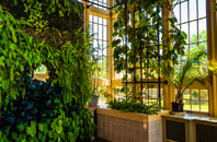 Draycot Foliat orangery installation